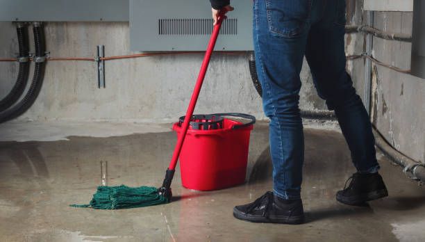 Best Mold removal after water damage  in Vergennes, VT