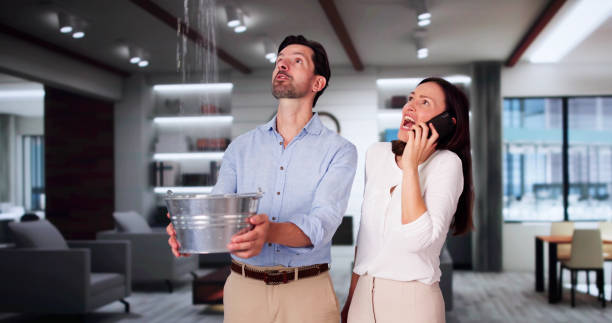 Best Water damage contractors near me  in Vergennes, VT