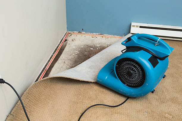 Professional Water damage restoration in VT